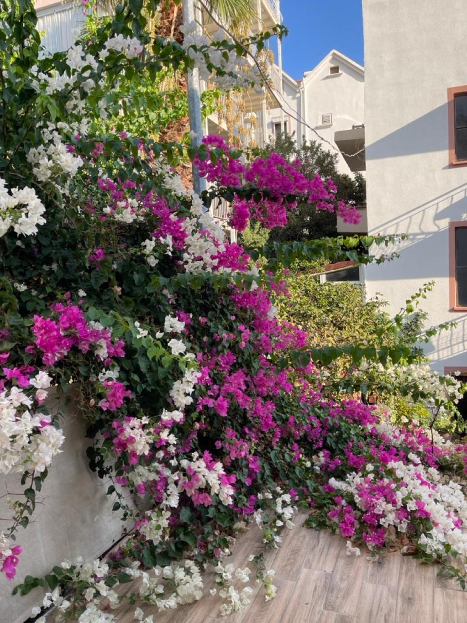 Paydos Pansiyon Kas Exterior foto